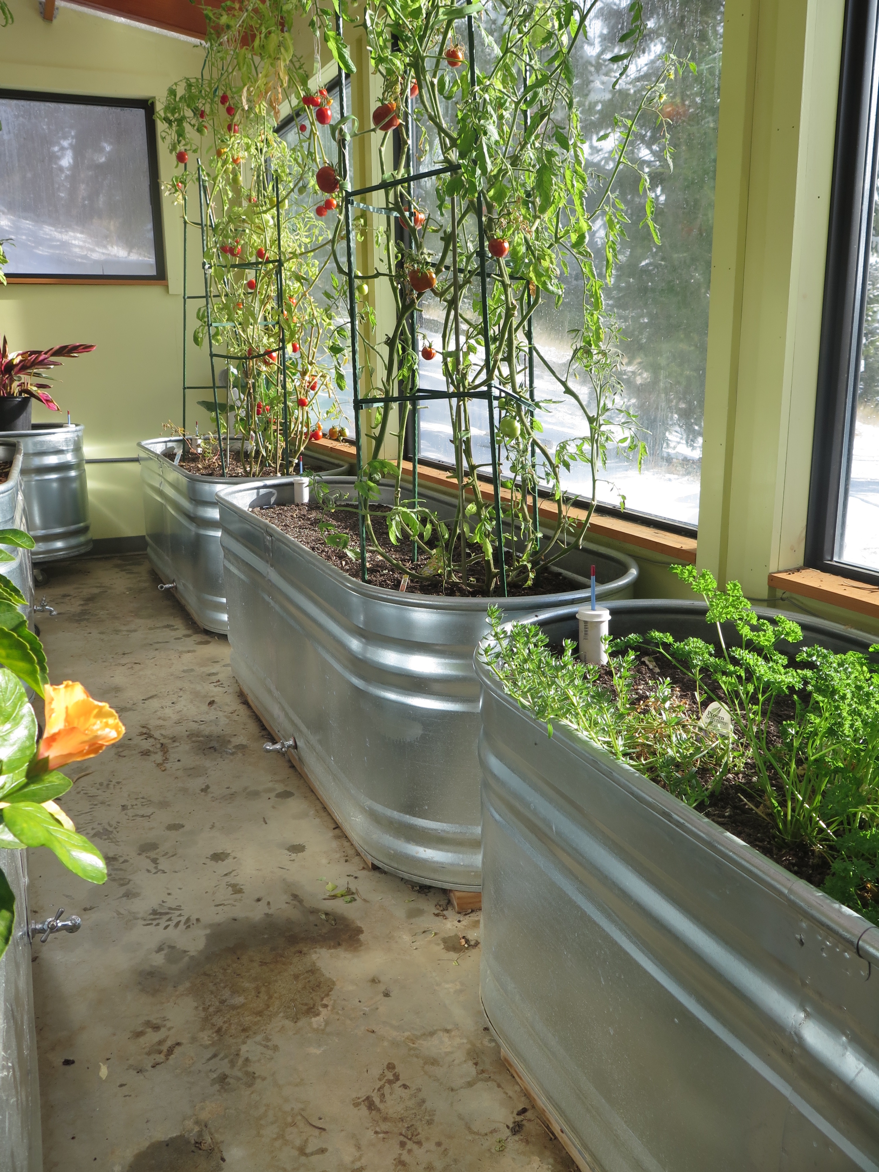 Easy Raised Bed Options Ceres Greenhouse