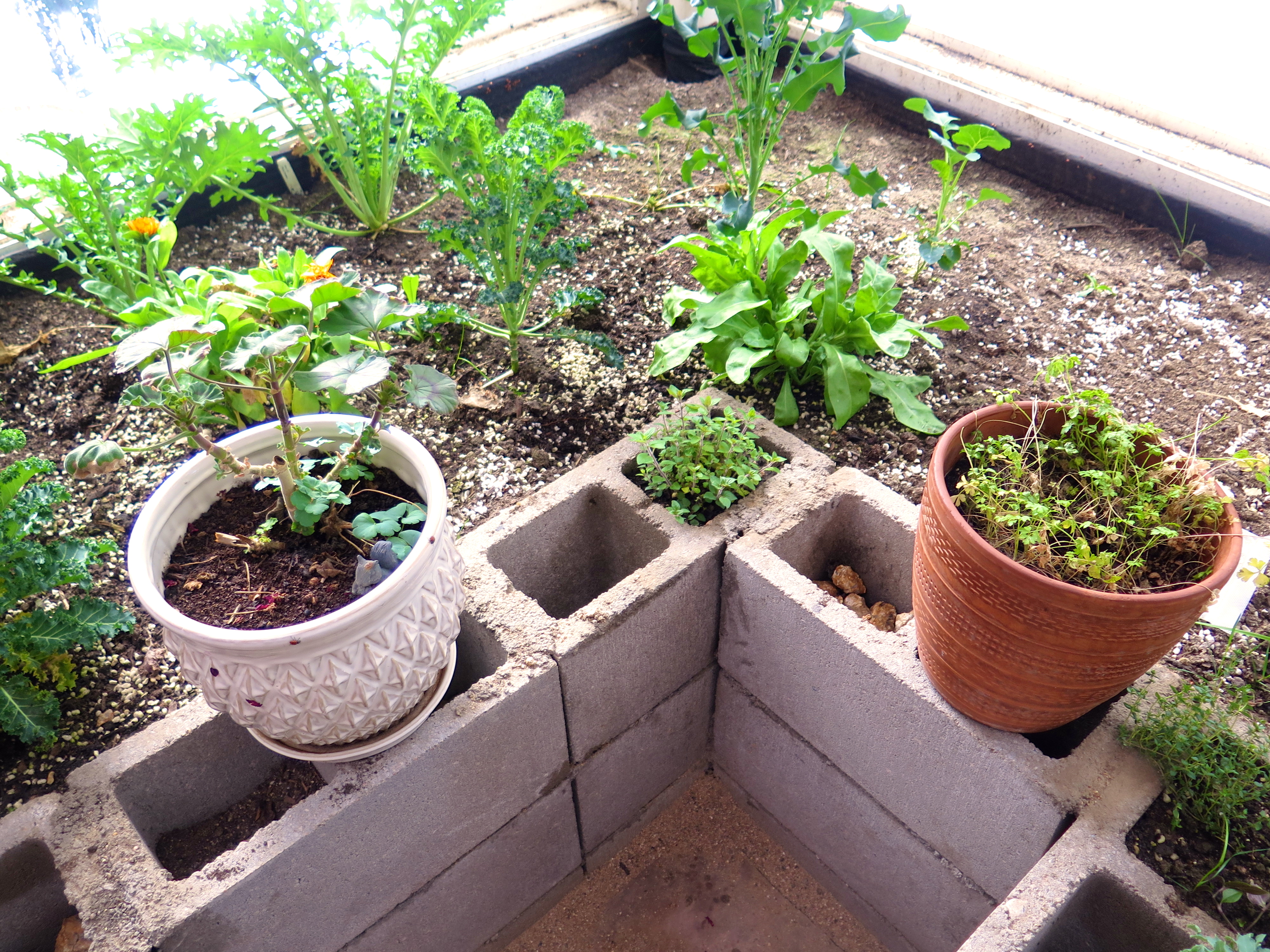 Easy Raised Bed Options Ceres Greenhouse