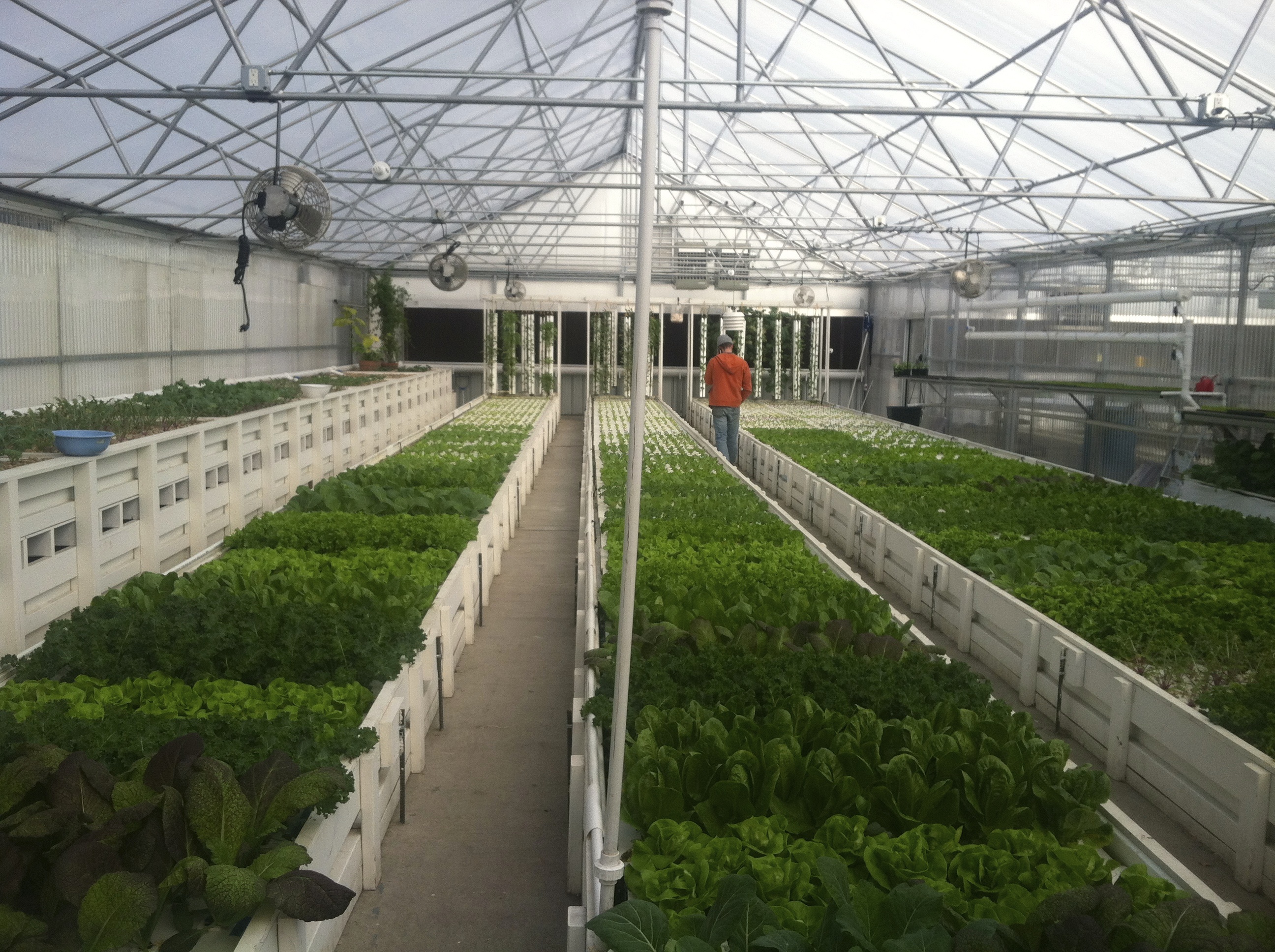 A Perfect Guide For Aquaponics Business Plan