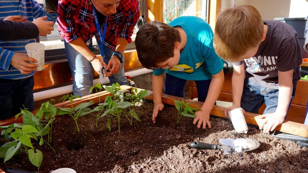 6 Tips for Creating a Year Round School Greenhouse Ceres Greenhouse